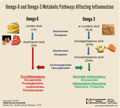 omega 3 6 9 inflammation.